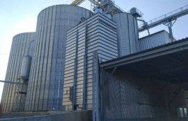 Закупка пшеницы в интервенционный фонд России - AgroExpert.md