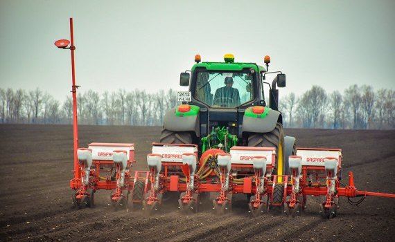 Цена на семена в Украине - AgroExpert.md