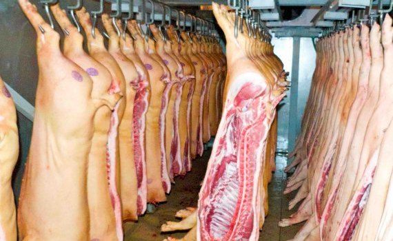 Обвал цен на свинину в Китае - AgroExpert.md