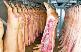 Обвал цен на свинину в Китае - AgroExpert.md