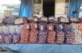 Импорт картофеля в Молдову - AgroExpert.md
