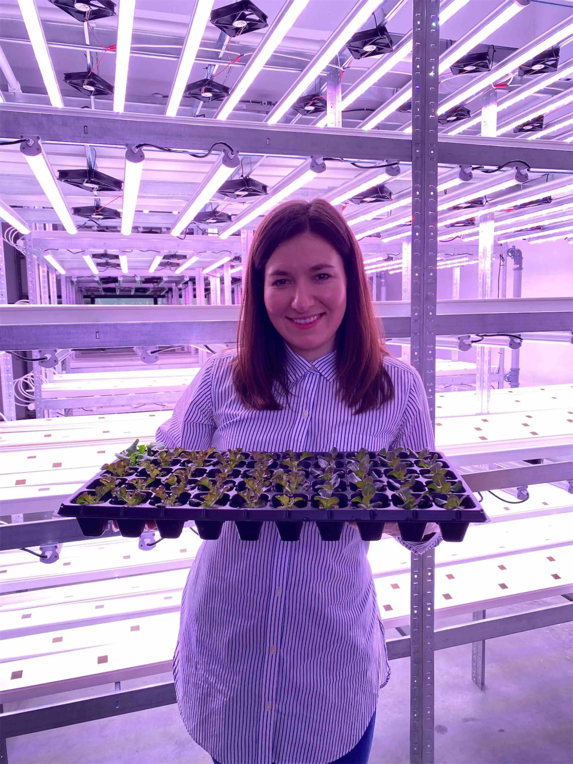 FOTO: O tânără din Călărași produce salată într-o seră hidroponică modernă
