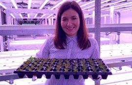 Seră hidroponică Moldova - AgroExpert.md