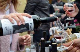 Export vinuri moldovenești - AgroExpert.md