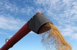 Мировые цены на сою - AgroExpert.md