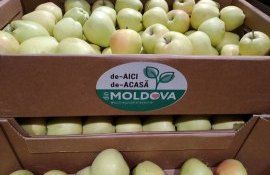 Экспорт фруктов в Россию - AgroExpert.md