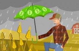Страхование в сельском хозяйстве Молдовы - AgroExpert.md