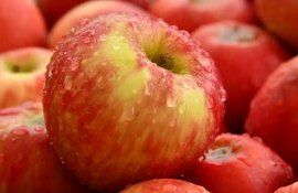 Цена на яблоки в Молдове - AgroExpert.md