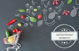 Экспорт органической продукции из Украины - AgroExpert.md