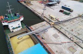 Тендер на закупку пшеницы - AgroExpert.md