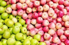 Цена на яблоки в Евросоюзе - Agroexpert.md