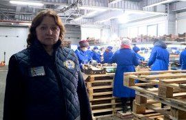 Cum se obține certificat fitosanitar în Moldova - AgroExpert.md