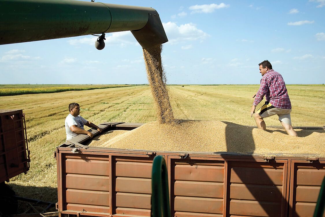 Bursa cerealelor - AgroExpert.md