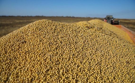 Экспорт сои и кукурузы из Аргентины - AgroExpert.md