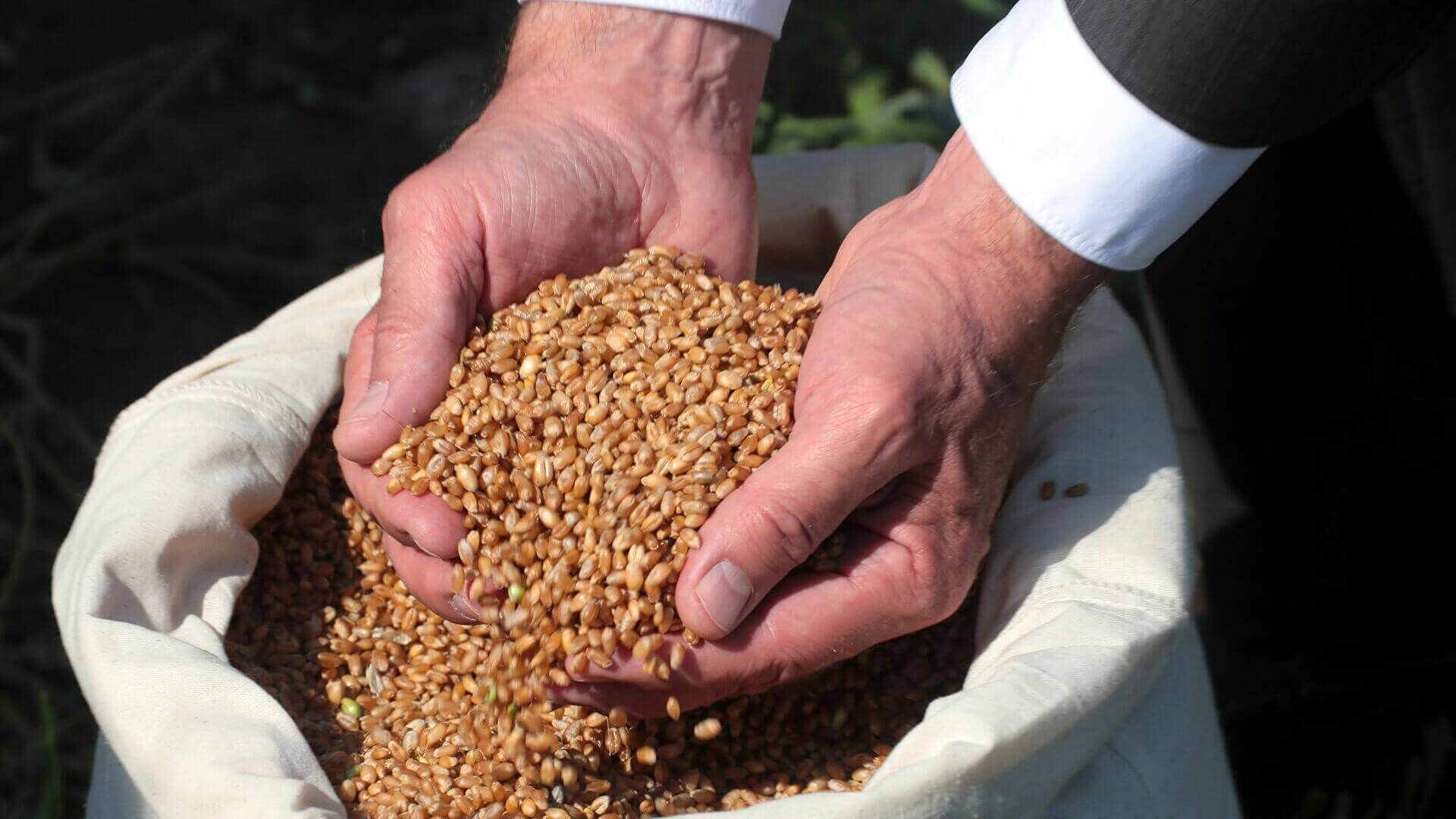 Escrocherie cu produse agricole in Moldova - AgroExpert.md
