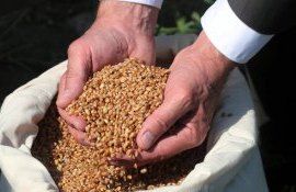 Escrocherie cu produse agricole in Moldova - AgroExpert.md