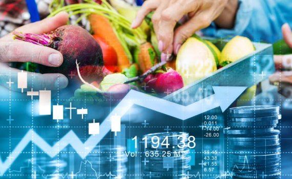 Рост цен на продовольствие в мире - AgroExpert.md