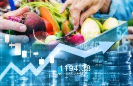 Рост цен на продовольствие в мире - AgroExpert.md