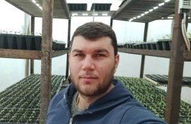 creșterea legumelor în seră- AgroExpert.md