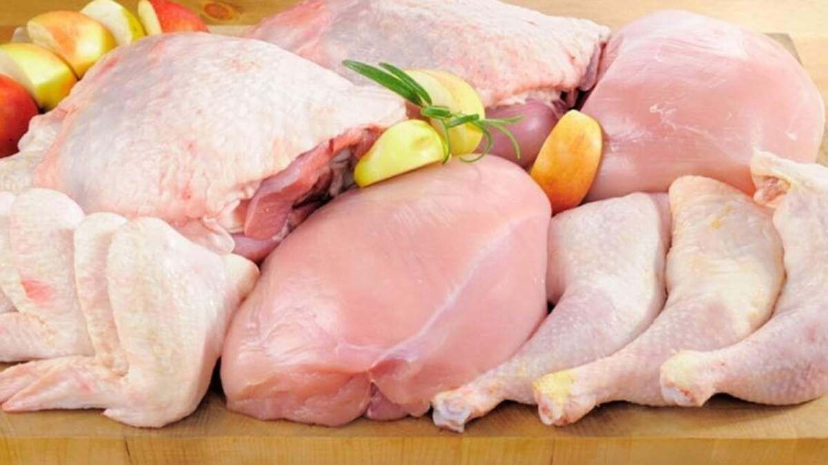 Продажа курятины в Молдове - AgroExpert.md