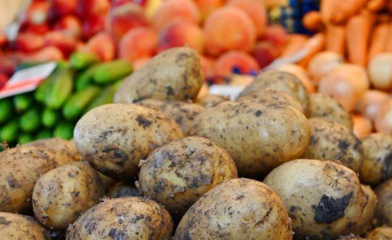 Цена на овощи в Молдове - AgroExpert.md