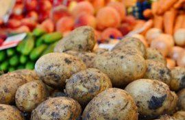 Цена на овощи в Молдове - AgroExpert.md