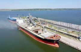 Экспорт российской пшеницы - AgroExpert.md