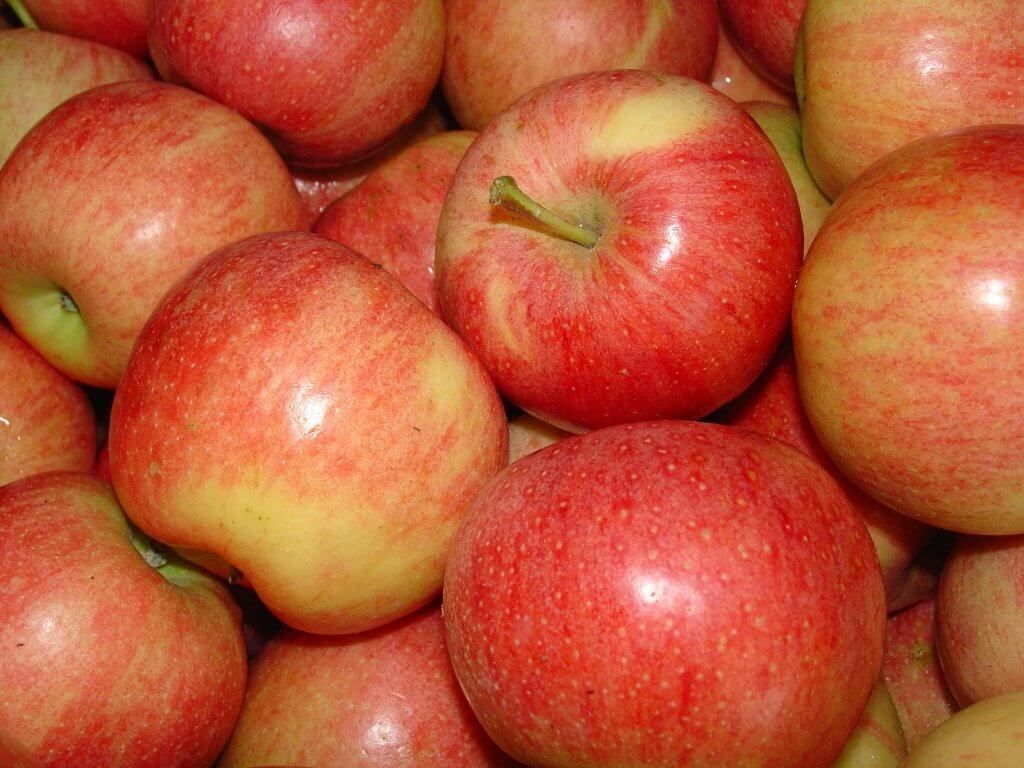 Самый популярный сорт яблок - AgroExpert.md