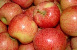 Самый популярный сорт яблок - AgroExpert.md