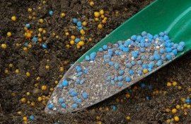 fertilizator ingrasamant agricol - AgroExpert.md