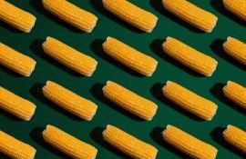 Cresterea pretului la cereale - AgroExpert.md