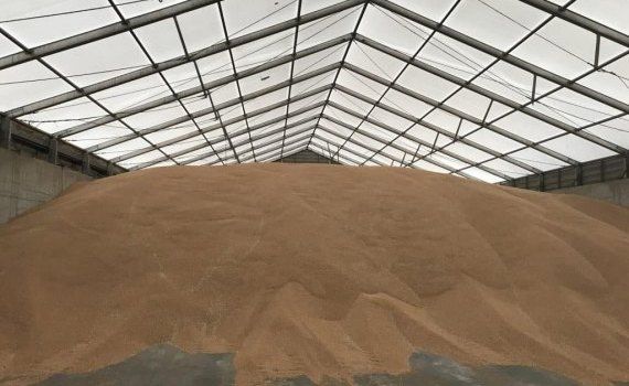 Повышение цен на пшеницу - AgroExpert.md