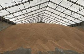Повышение цен на пшеницу - AgroExpert.md