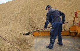 Снижение экспорта зерна из России - AgroExpert.md