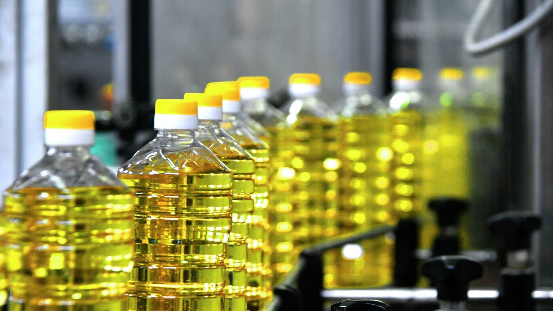 Дефицит подсолнечного масла в Европе - AgroExpert.md