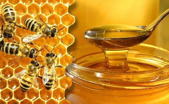 Recolta de miere în Moldova - AgroExpert.md
