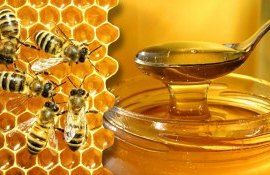 Recolta de miere în Moldova - AgroExpert.md