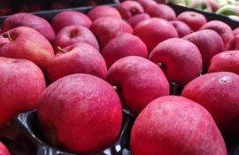 Продажа яблок в Молдове - AgroExpert.md