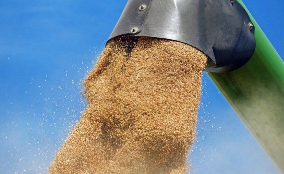 Экспорт зерна на Ближний Восток - AgroExpert.md