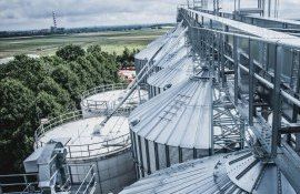 Stocurile mondiale de cereale - AgroExpert.md