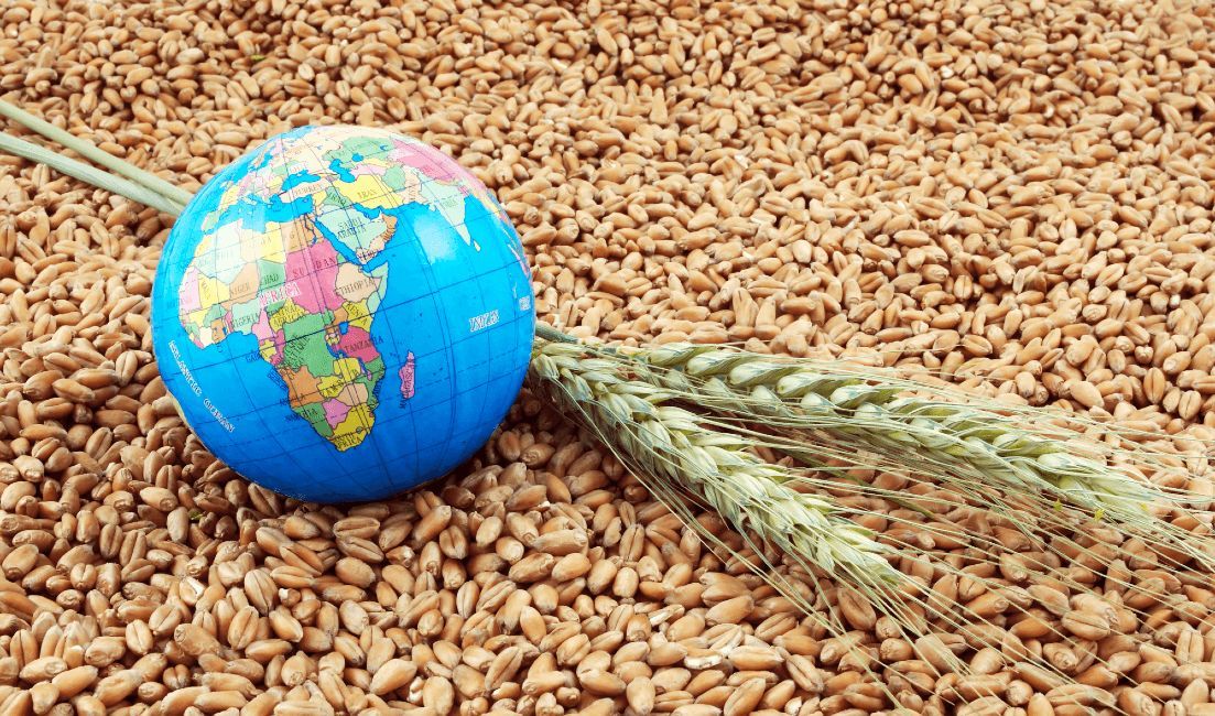 securitatea-alimentara-mondiala- AgroExpert.md