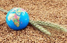 securitatea-alimentara-mondiala- AgroExpert.md