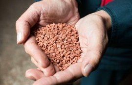 Путин об экспорте удобрений - AgroExpert.md