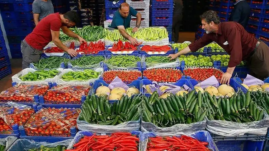 Экспорт иранских овощей и фруктов через Молдову в Россию приостановлен