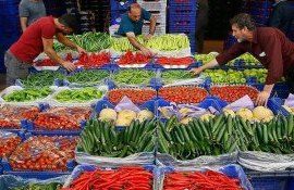 Экспорт овощей и фруктов в Россию - AgroExpert.md