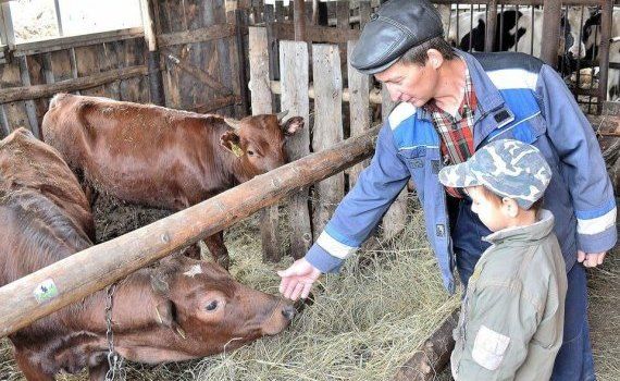 gospodarii-taranesti-lichidate- AgroExpert.md