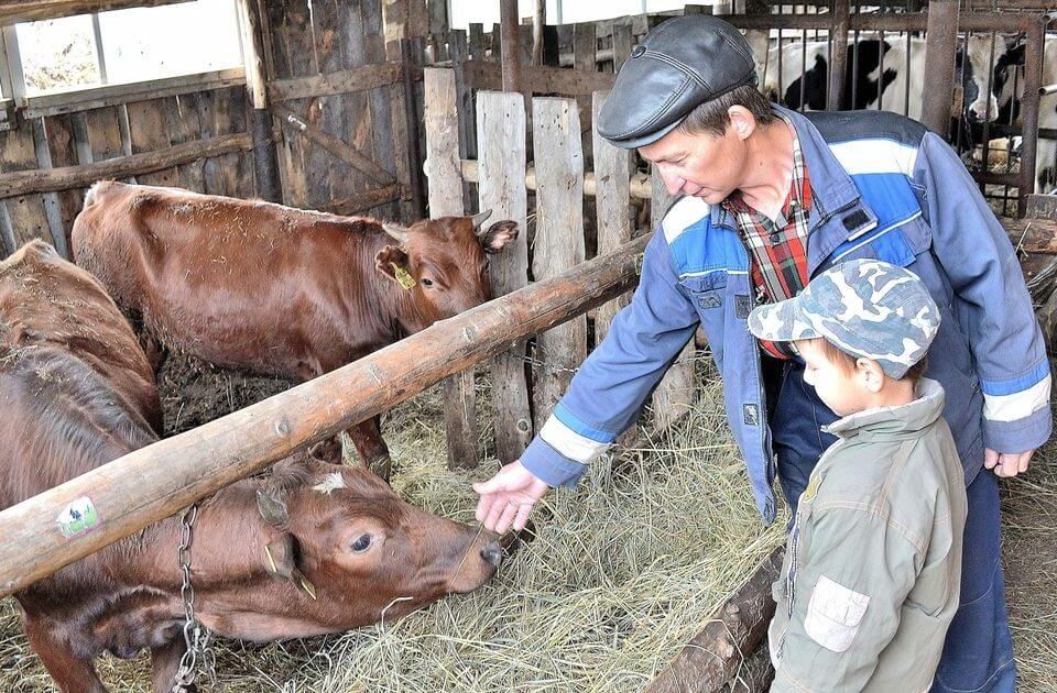gospodarii-taranesti-lichidate- AgroExpert.md