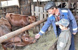 gospodarii-taranesti-lichidate- AgroExpert.md