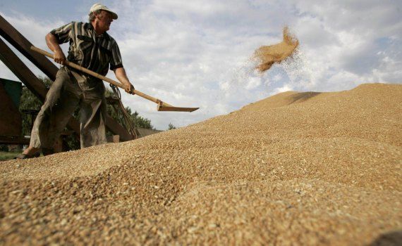 Пошлина на экспорт зерна из Приднестровья - AgroExpert.md