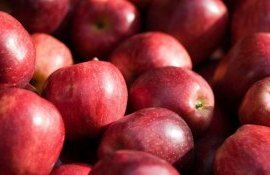 Цена на яблоки в Молдове - AgroExpert.md